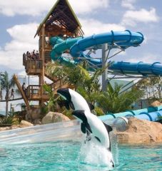 The dolphon plunge at Sea Worlds Aquatica waterpark. get your group discount tickets for aquatica through orlando group getaways.