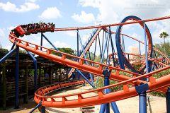 Scorpion at Busch Gardens is another favorite roller coaster. Youth groups and church groups and school groups can get cheap tickets.
